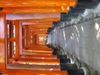 IMG_0827.JPG